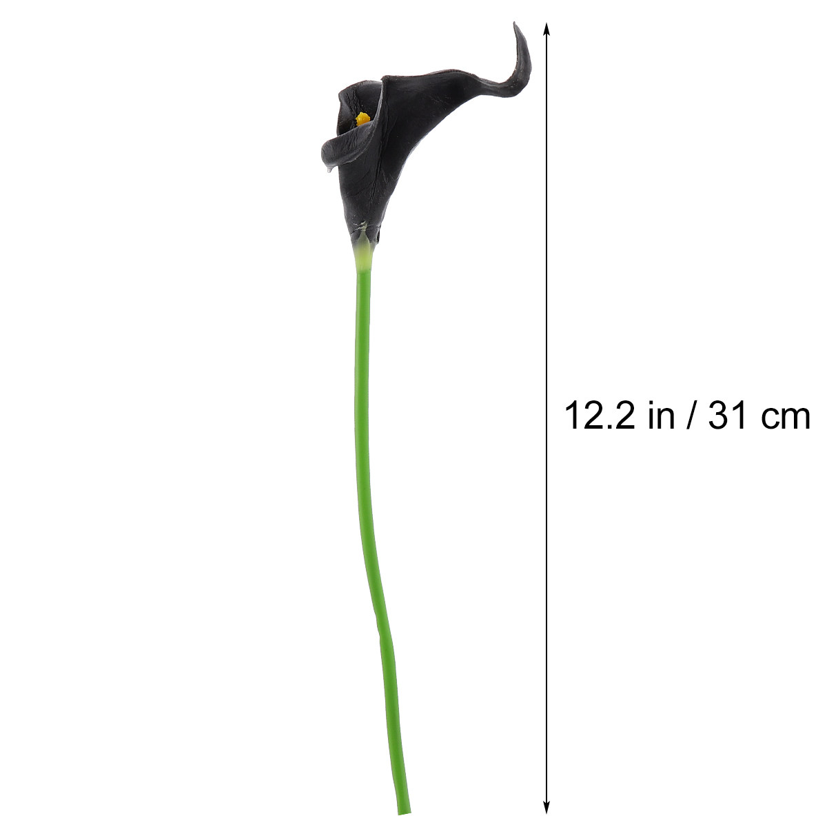 10 Buah Bunga Calla Lily Buata - Interior Design Layout ulasan dan harga